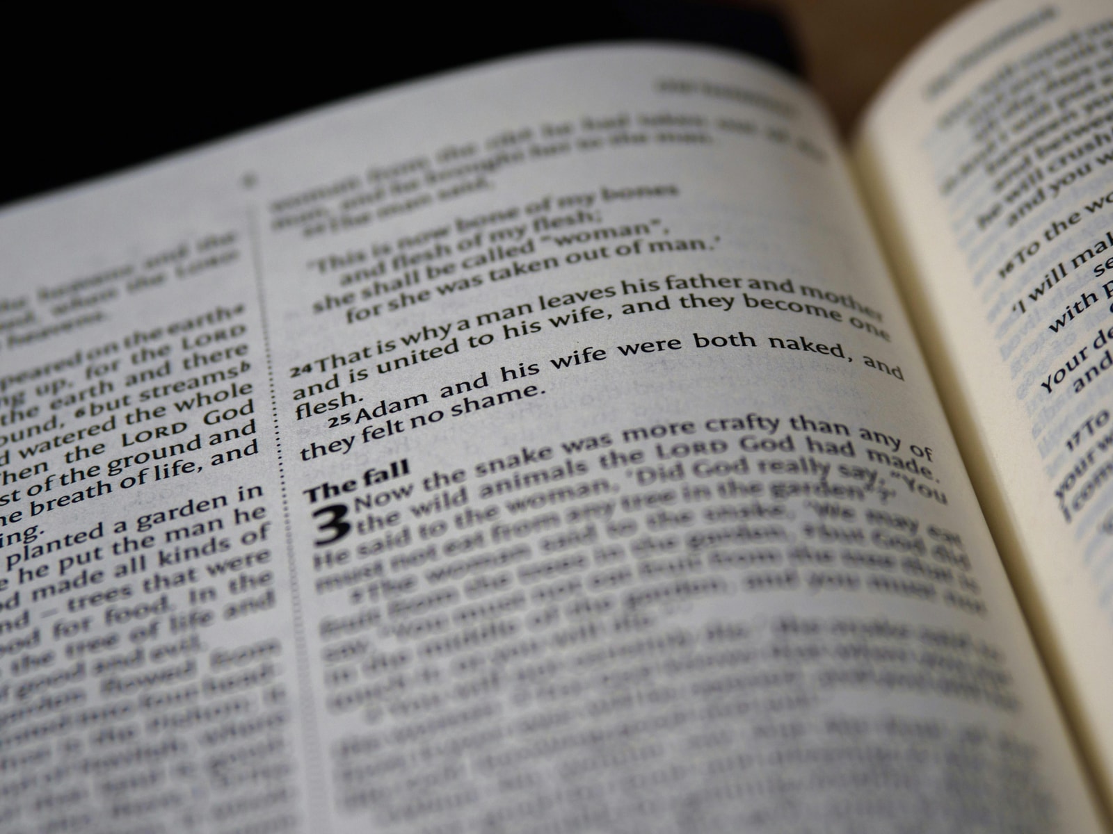 Open Bible